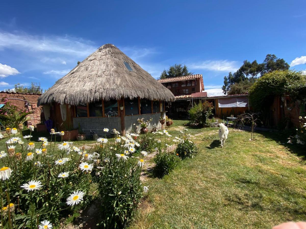 Bed and breakfast Mountain House Casa De La Gringa