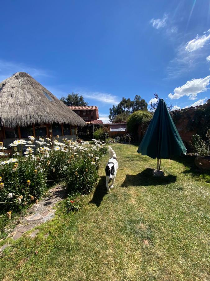 Bed and breakfast Mountain House Casa De La Gringa *